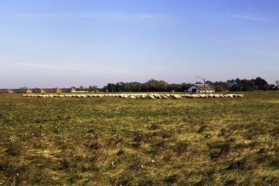 Hortobágy-stock-foto