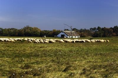 Hortobágy-stock-foto