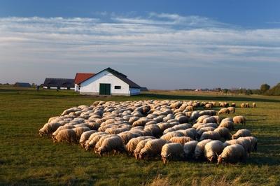 Hortobágy-stock-foto