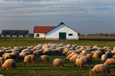 Hortobágy-stock-foto