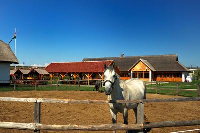 M3 Archeopark Polgár-stock-foto