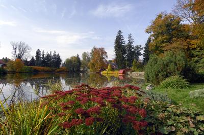 A Zirci Arborétum ősszel-stock-foto
