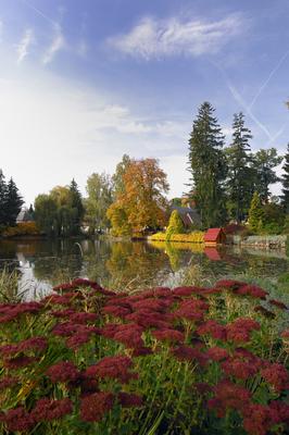A Zirci Arborétum ősszel-stock-foto