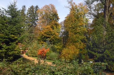 A Zirci Arborétum ősszel-stock-foto