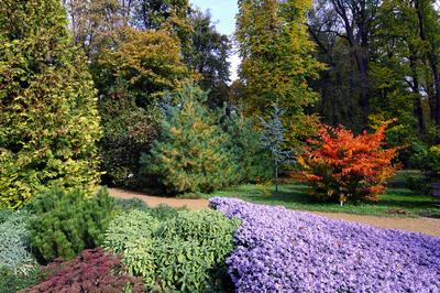 A Zirci Arborétum ősszel-stock-foto