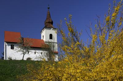 Zánka, Református templom-stock-foto