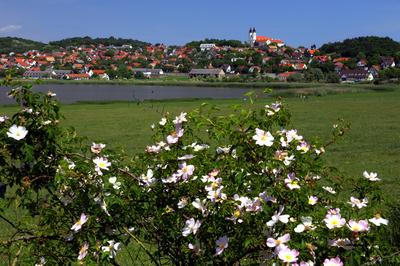 Tihany-stock-foto