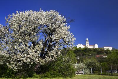 Pannonhalma-stock-foto