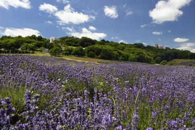 Pannonhalmi Bencés Főapátság-stock-foto