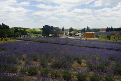 Pannonhalmi Bencés Főapátság-stock-foto