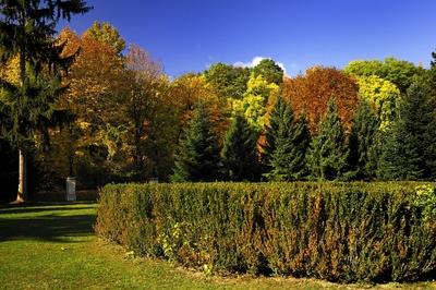 Alcsúti arborétum, Alcsútdoboz-stock-foto