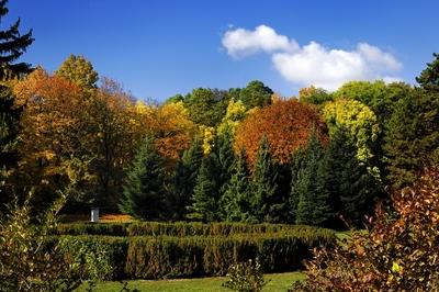 Alcsúti arborétum, Alcsútdoboz-stock-foto
