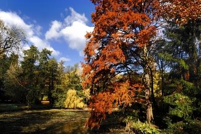 Alcsúti arborétum, Alcsútdoboz-stock-foto