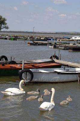 Velencei-tó, Gárdony-stock-foto