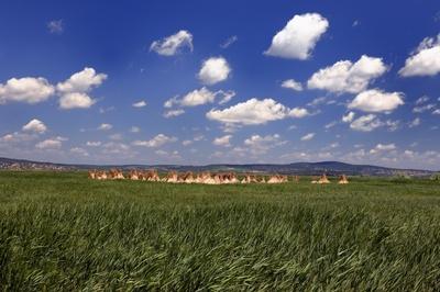 Velencei-tó-stock-foto