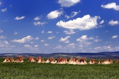 Velencei-tó-stock-foto