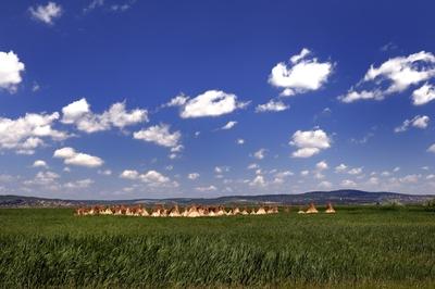 Velencei-tó-stock-foto