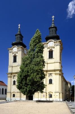 Szent István-székesegyház, Székesfehérvár-stock-foto