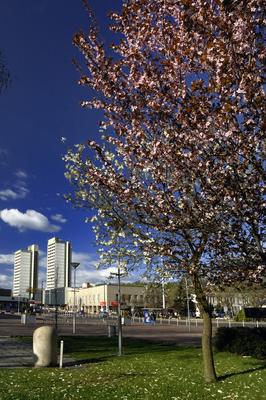 Salgótarján-stock-foto