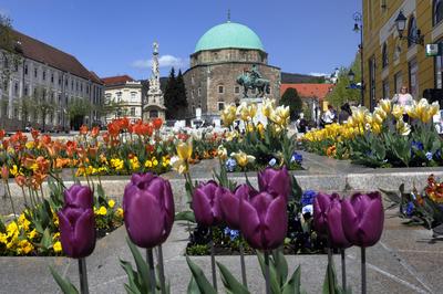 Pécs-stock-foto