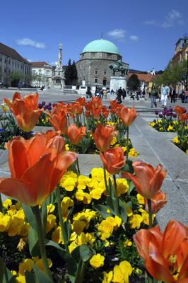 Pécs-stock-foto