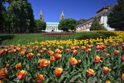 Pécs-stock-foto