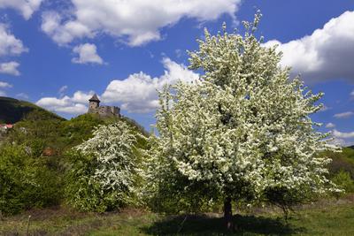 A somoskői vár a Somoskő település fölé magasodó vulkáni csúcson található, már szlovák területen.-stock-foto