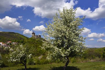 A somoskői vár a Somoskő település fölé magasodó vulkáni csúcson található, már szlovák területen.-stock-foto