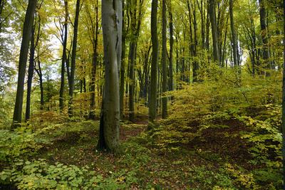 Salgótarján-stock-foto