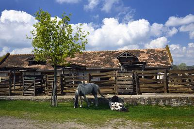 A Salföldi Major egy működő gazdaság életét és őshonos magyar háziállatfajtákat mutat be. A Major a Káli-medencében a Balaton-felvidéki Nemzeti Park információs és ökoturisztikai központja is egyben.
Lovak a Majorban.-stock-foto