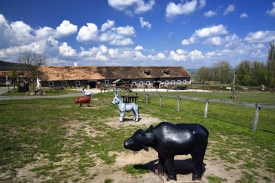 A Salföldi Major egy működő gazdaság életét és őshonos magyar háziállatfajtákat mutat be. A Major a Káli-medencében a Balaton-felvidéki Nemzeti Park információs és ökoturisztikai központja is egyben.
Állatszobrok a Majorban.-stock-foto