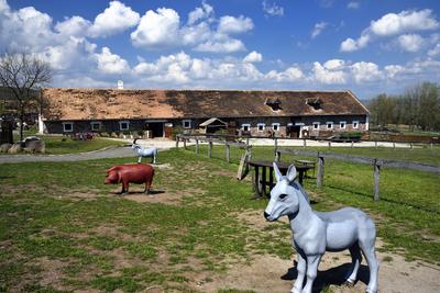 A Salföldi Major egy működő gazdaság életét és őshonos magyar háziállatfajtákat mutat be. A Major a Káli-medencében a Balaton-felvidéki Nemzeti Park információs és ökoturisztikai központja is egyben.
Állatszobrok a Majorban.-stock-foto
