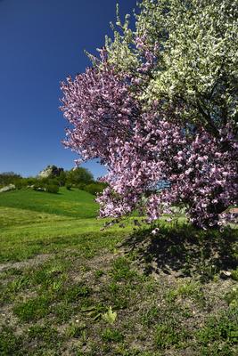 Salgótarján-stock-foto