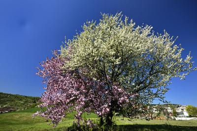 Salgótarján-stock-foto