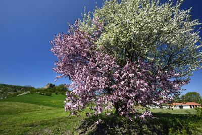 Salgótarján-stock-foto