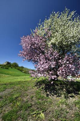 Salgótarján-stock-foto