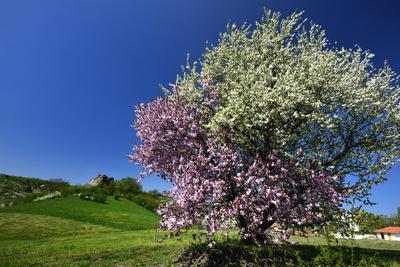 Salgótarján-stock-foto