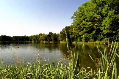 Hegyhátszentjakab, Vadása-tó-stock-foto