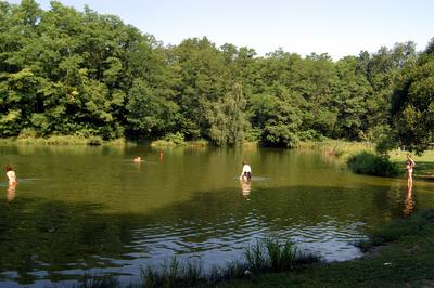 Hegyhátszentjakab, Vadása-tó-stock-foto