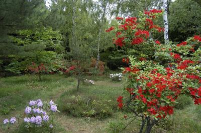 Kám, Jeli arborétum-stock-foto