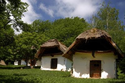 Cáki pincesor-stock-foto