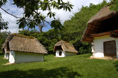 Cáki pincesor-stock-foto