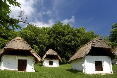 Cáki pincesor-stock-foto