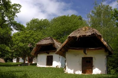 Cáki pincesor-stock-foto