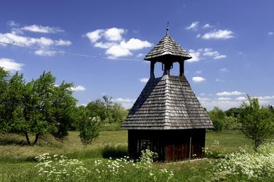 Gödörházi harangláb-stock-foto