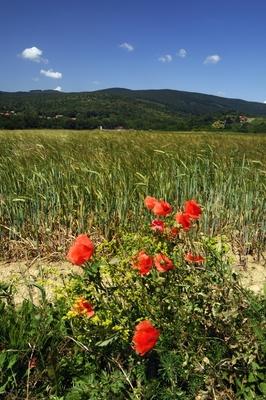 A Kőszegi-hegység látképe-stock-foto