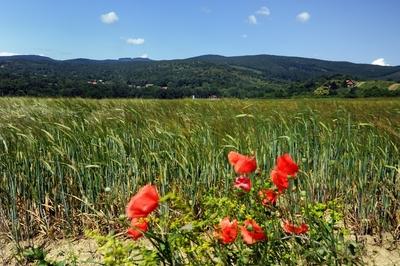 A Kőszegi-hegység látképe-stock-foto