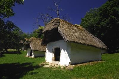 Cáki pincesor-stock-foto