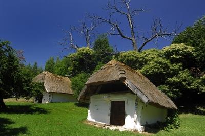 Cáki pincesor-stock-foto