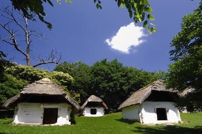 Cáki pincesor-stock-foto